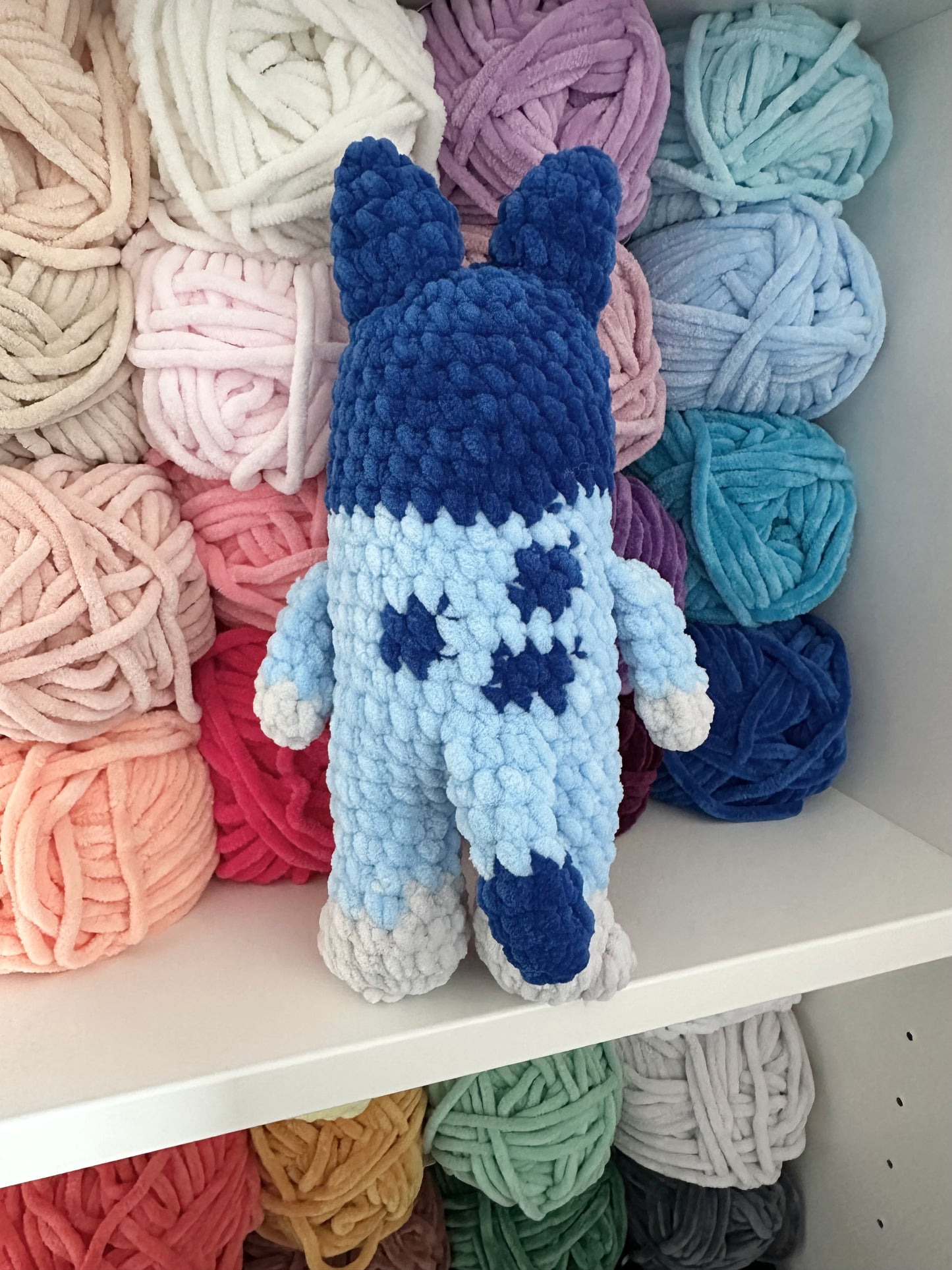 Blue Heeler