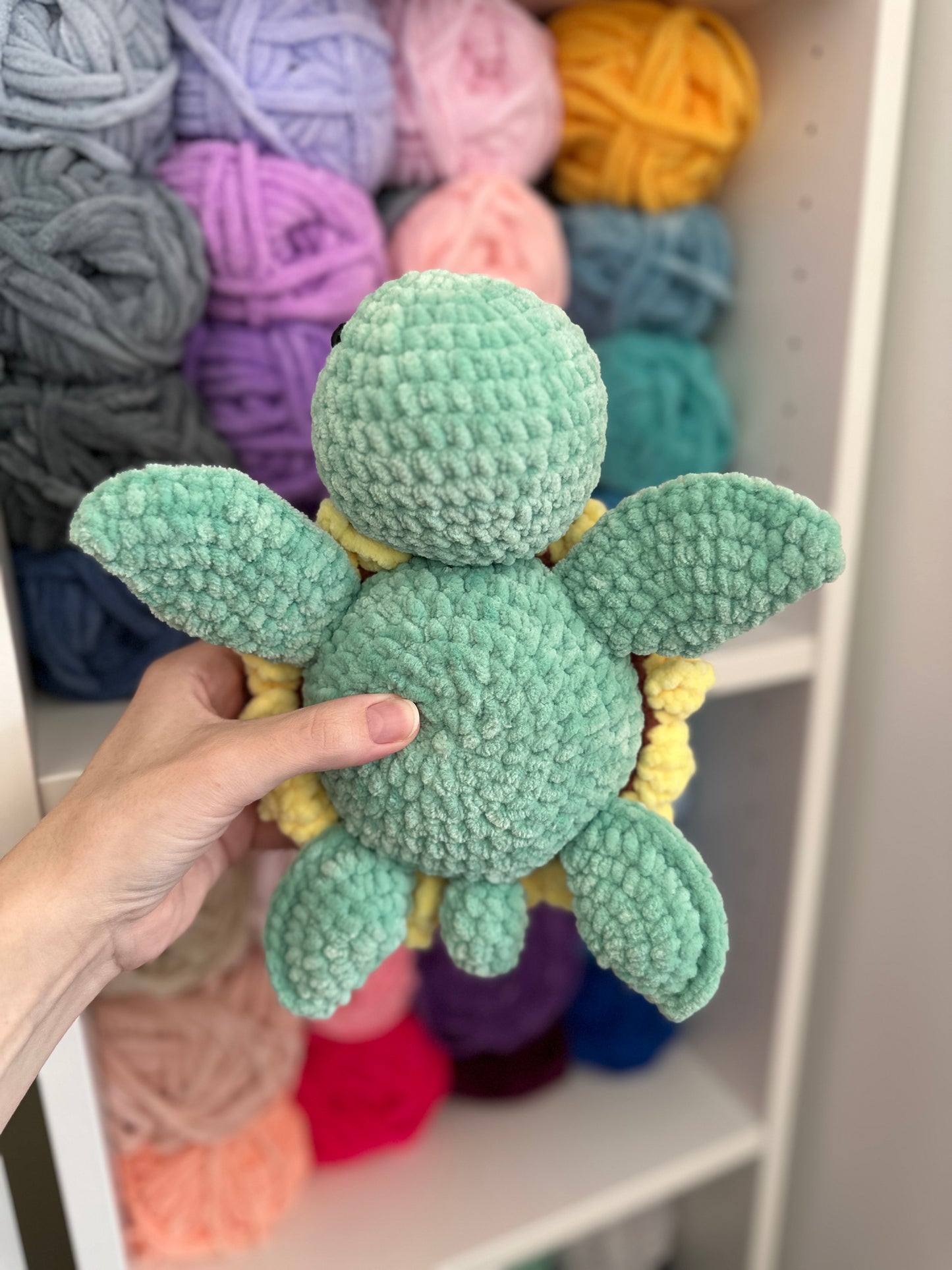 Sunflower Turtle
