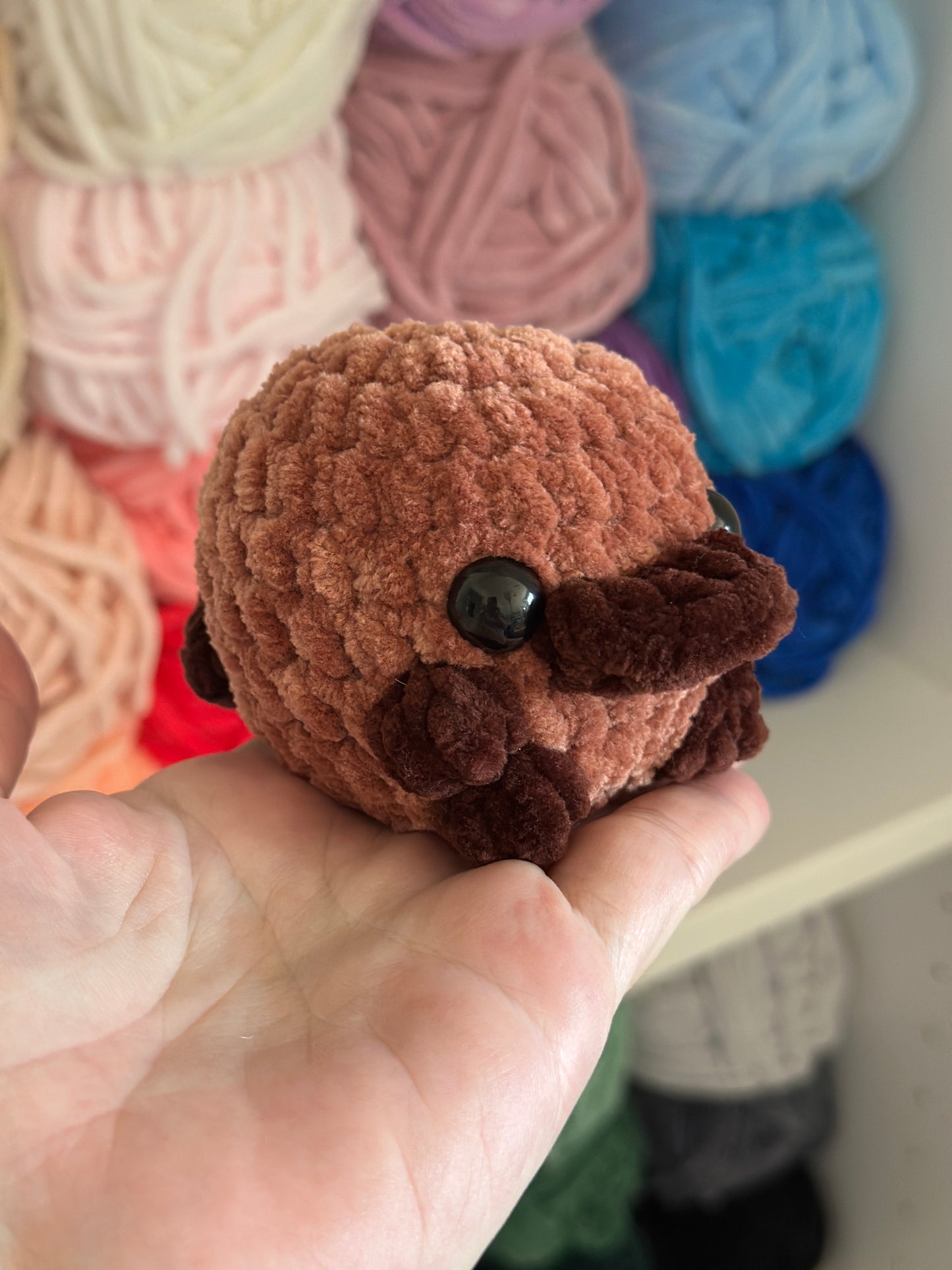 Platypus
