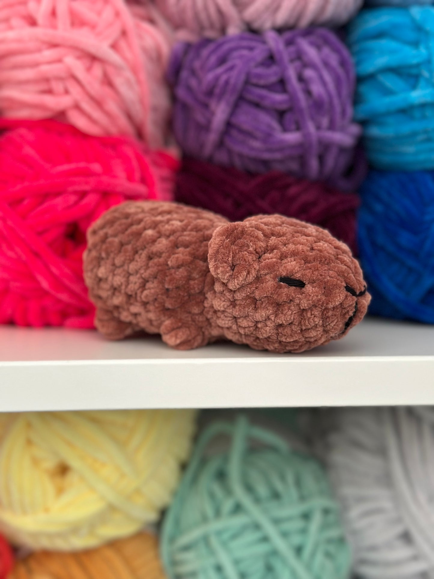 Capybara