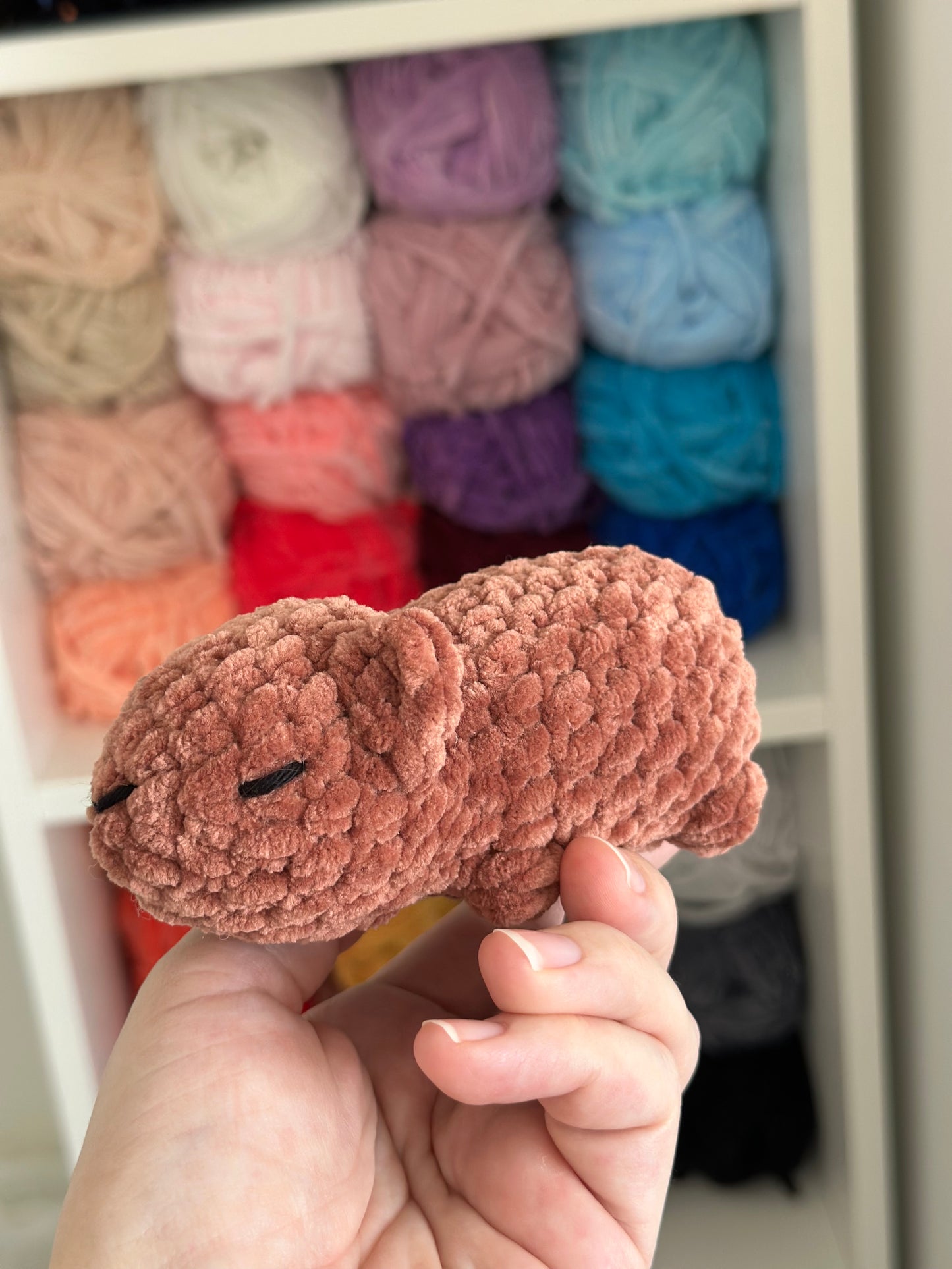 Capybara