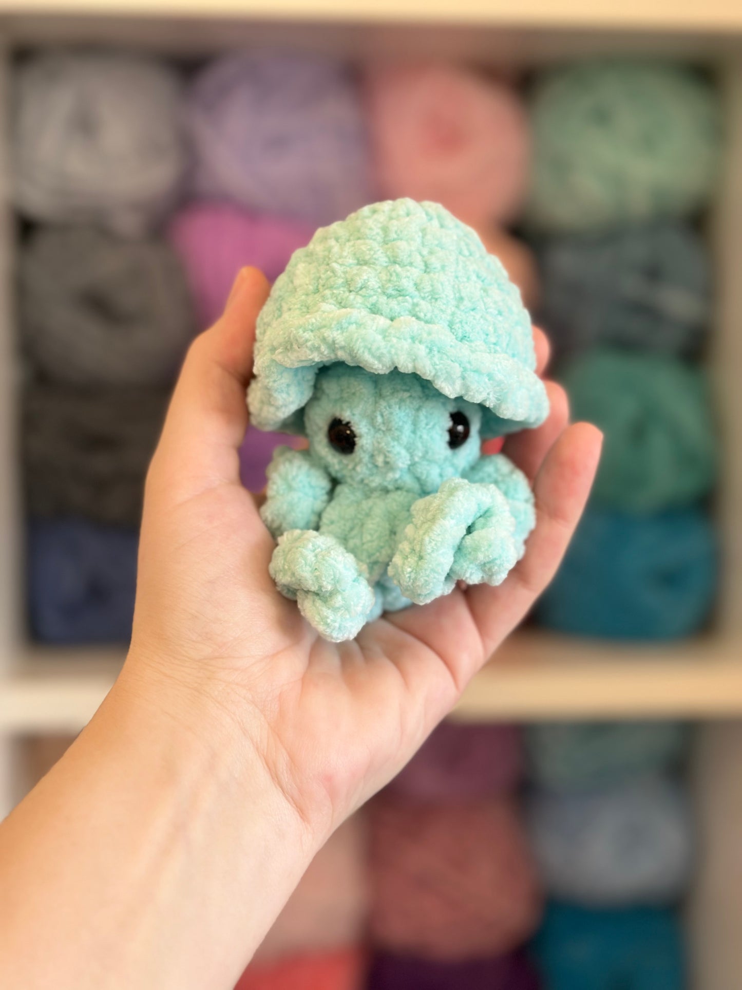 Pop Up Fidget Crochet Plushie