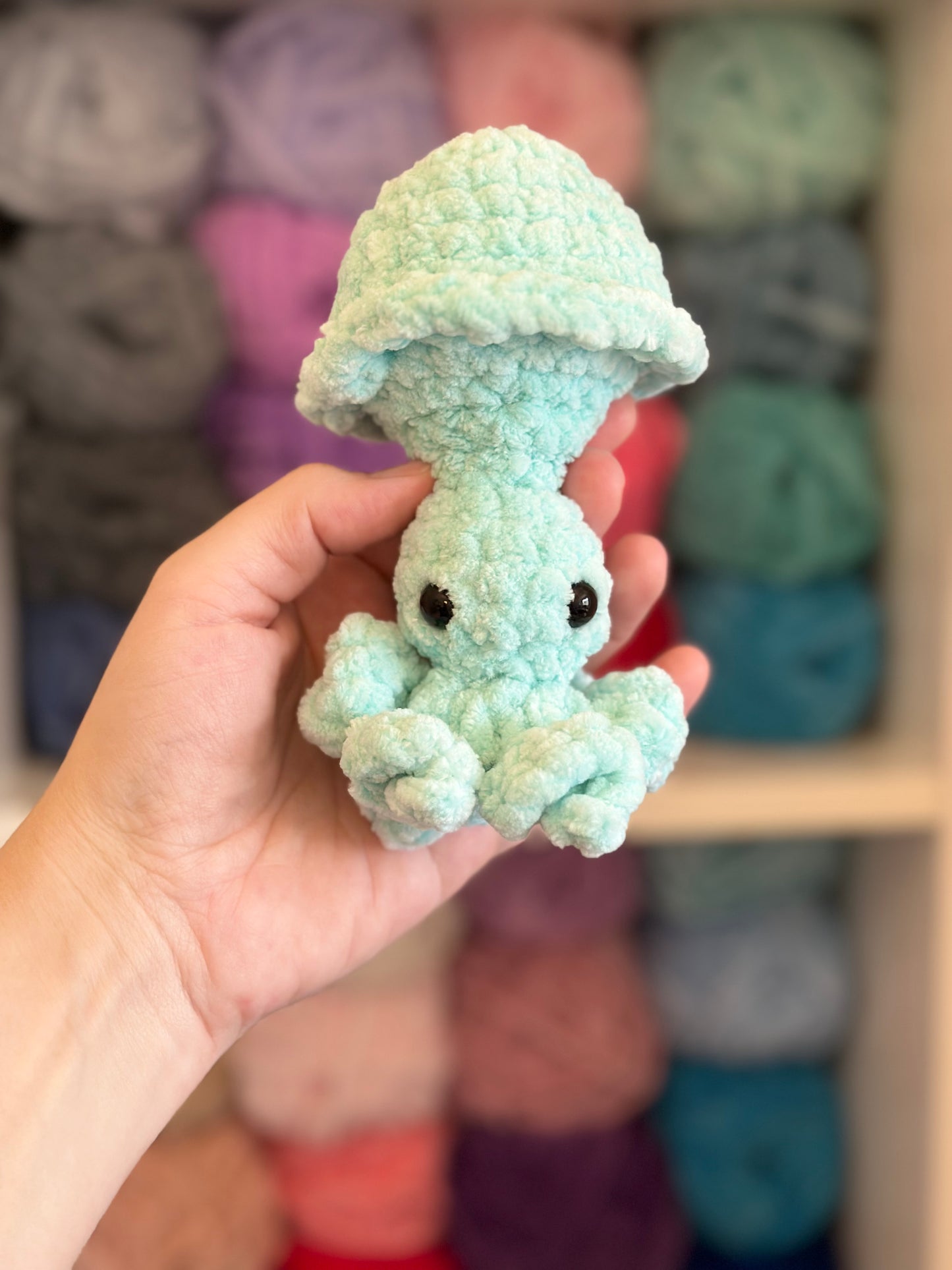 Pop Up Fidget Crochet Plushie