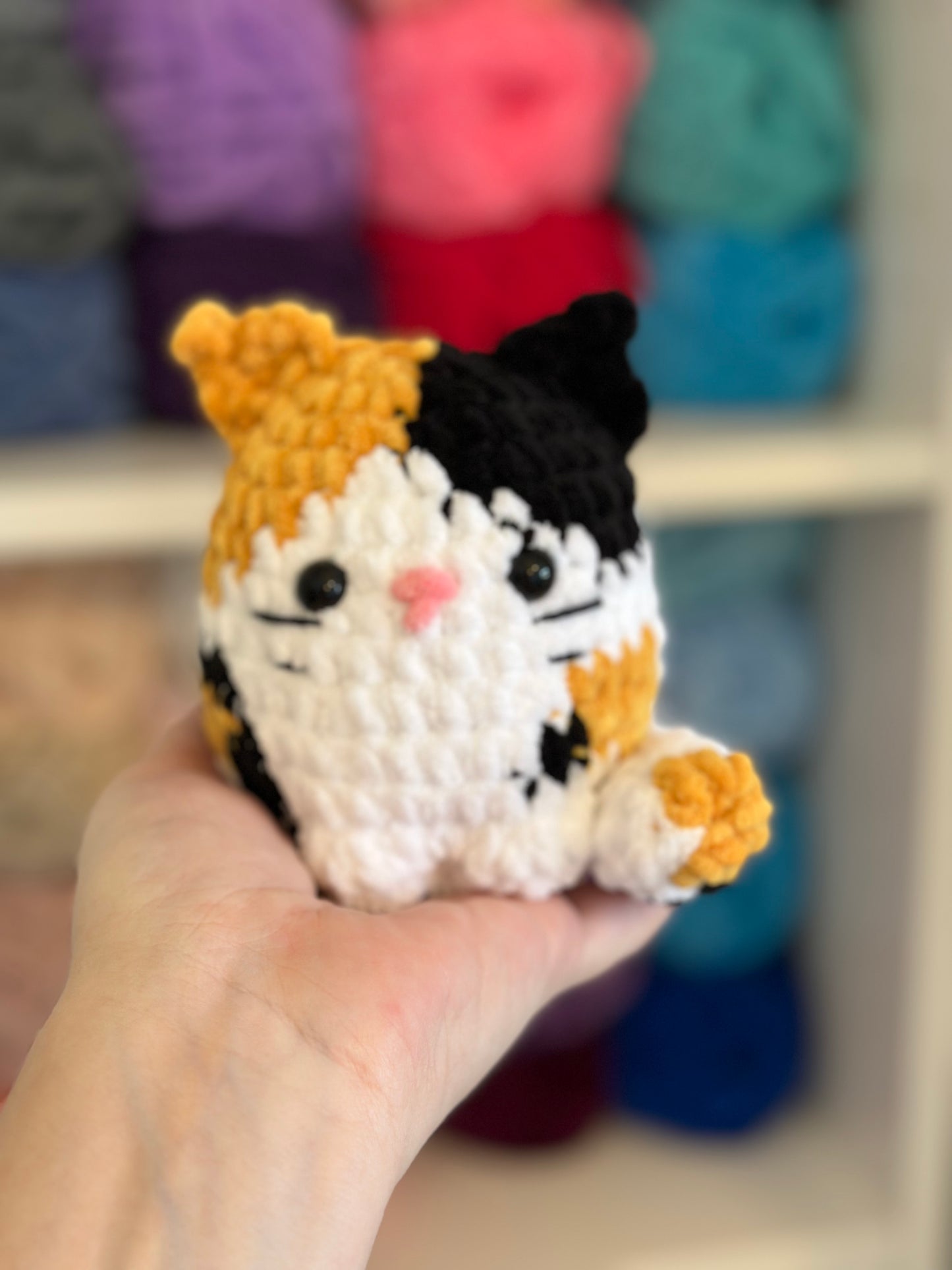 Calico Cat