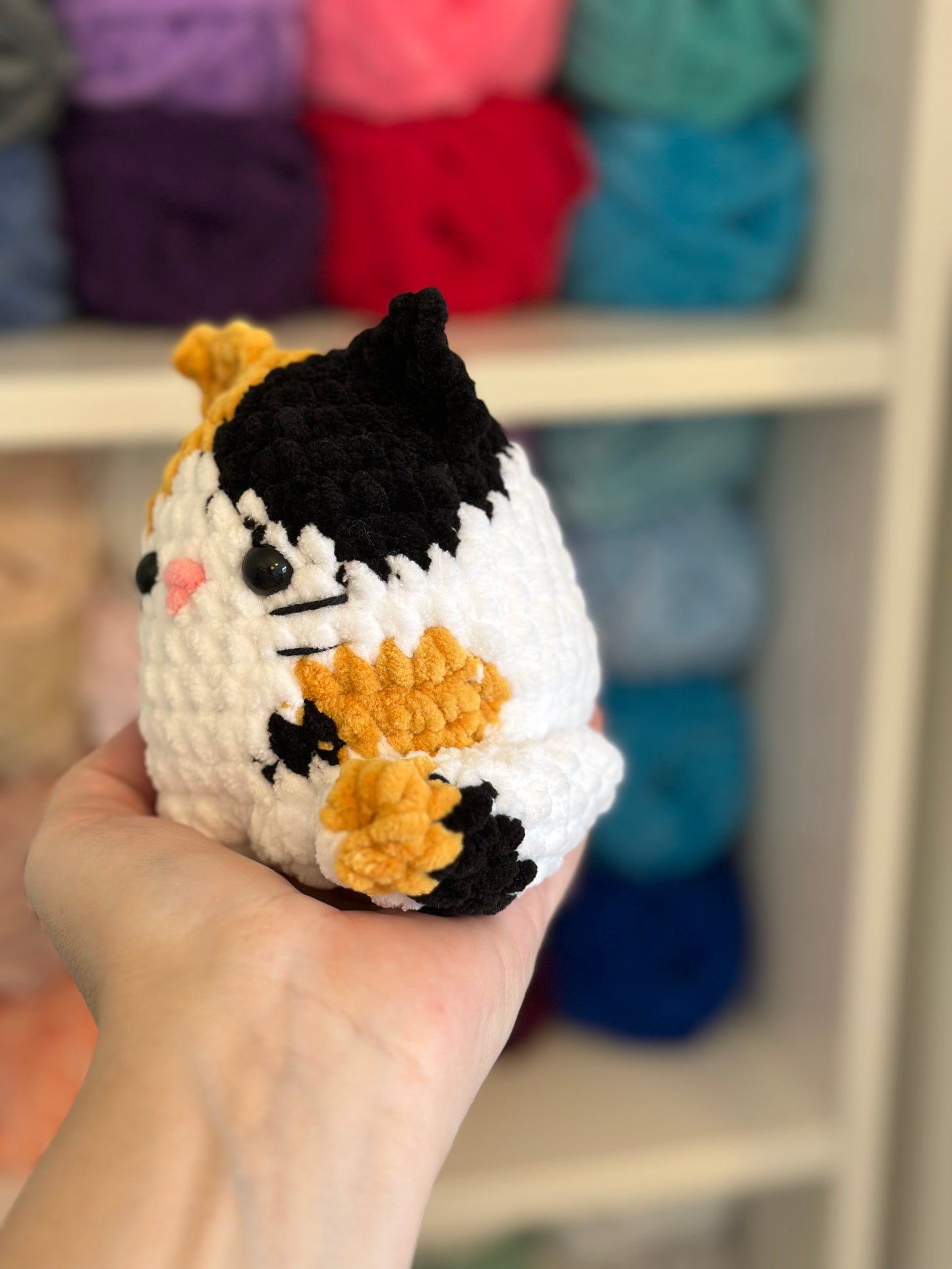 Calico Cat