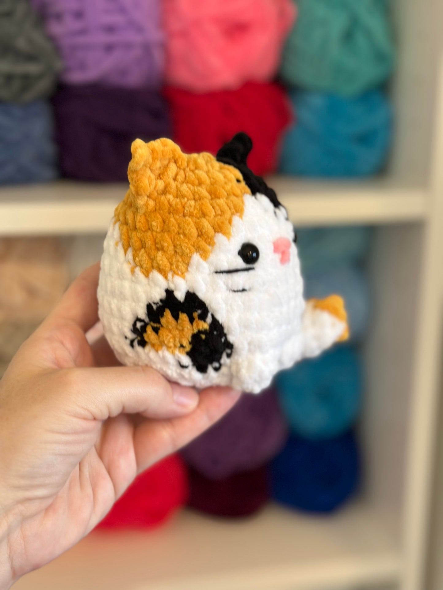 Calico Cat