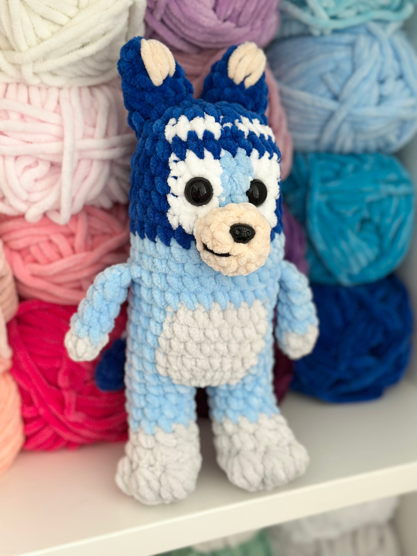 Blue Heeler