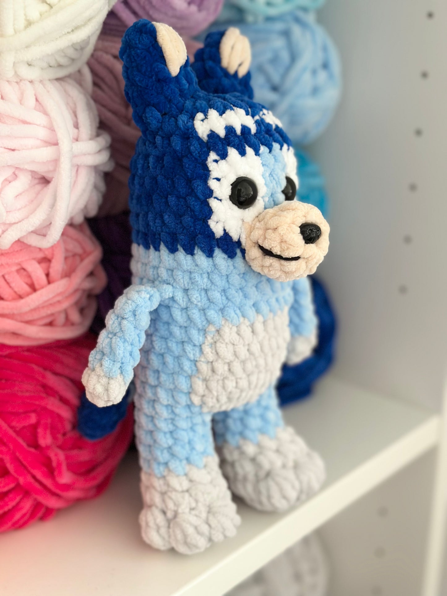 Blue Heeler