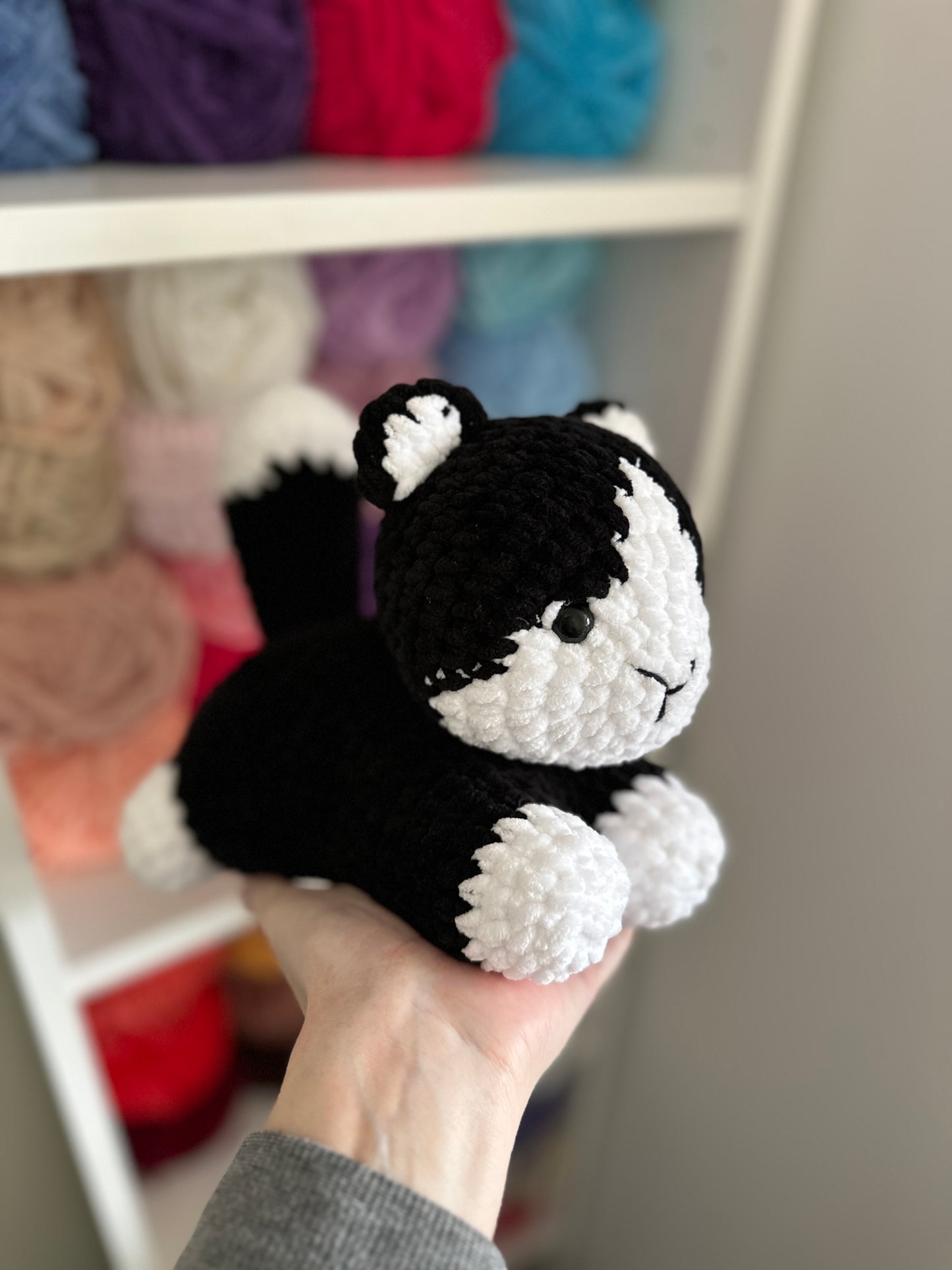 Tuxedo Cat