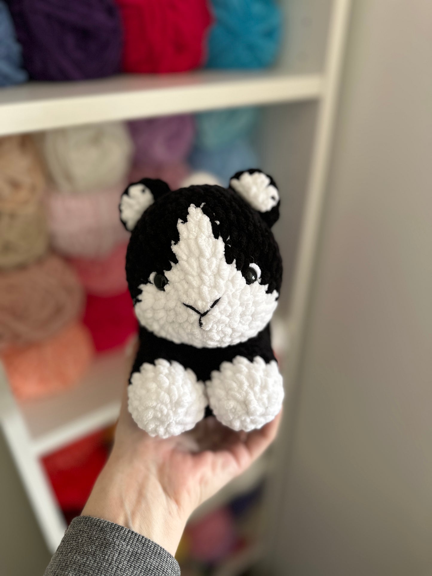 Tuxedo Cat
