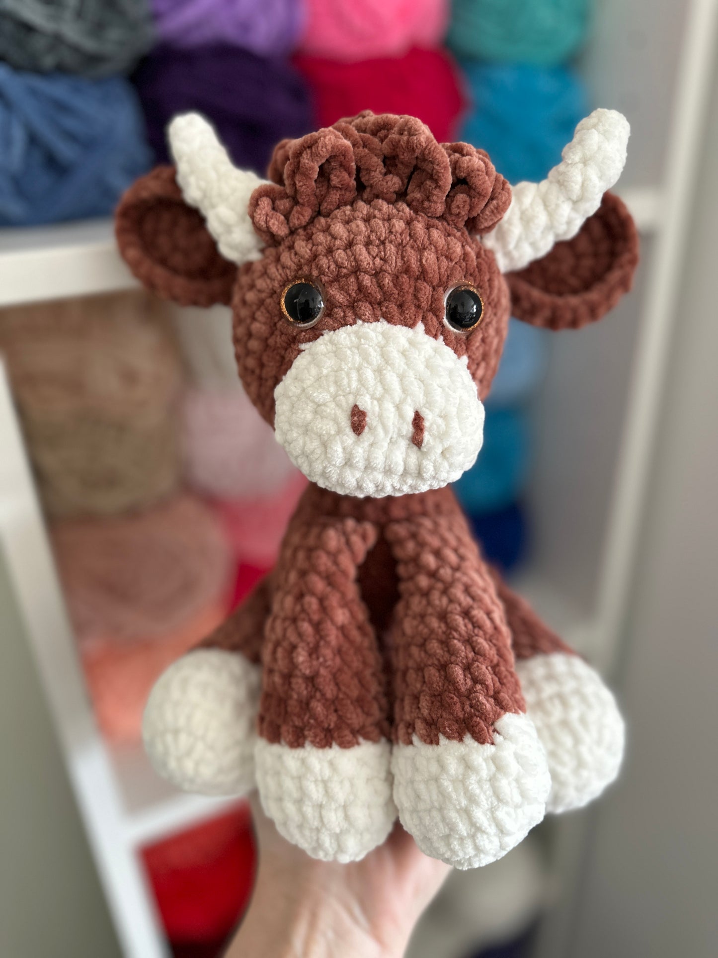 Highland Cow