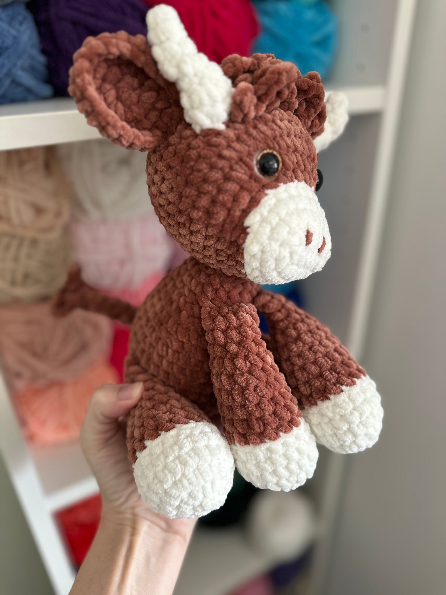 Highland Cow