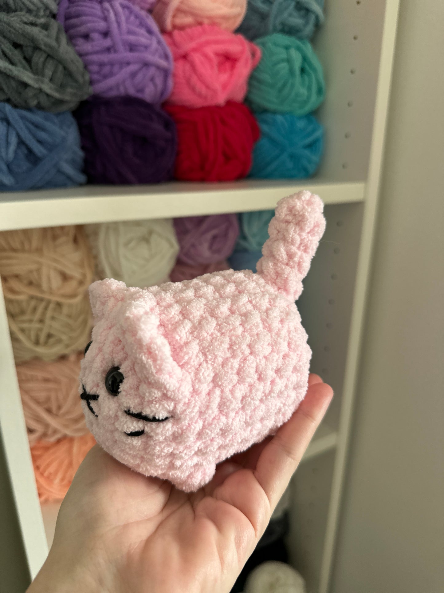 Kitten