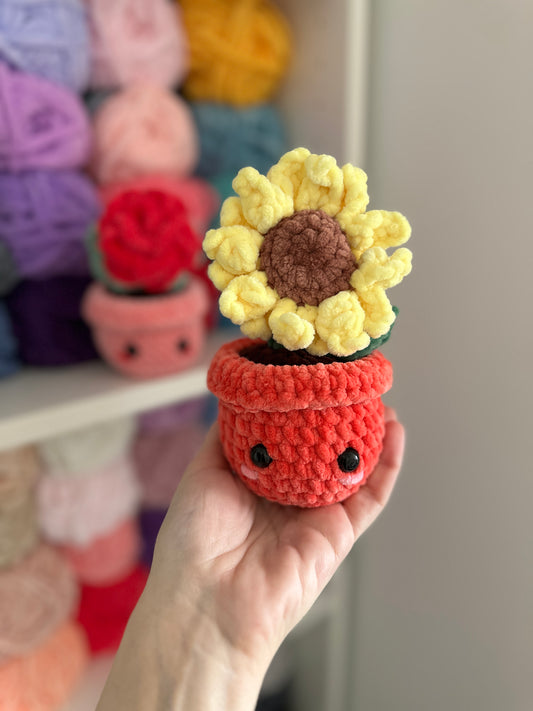Potted Flowers
