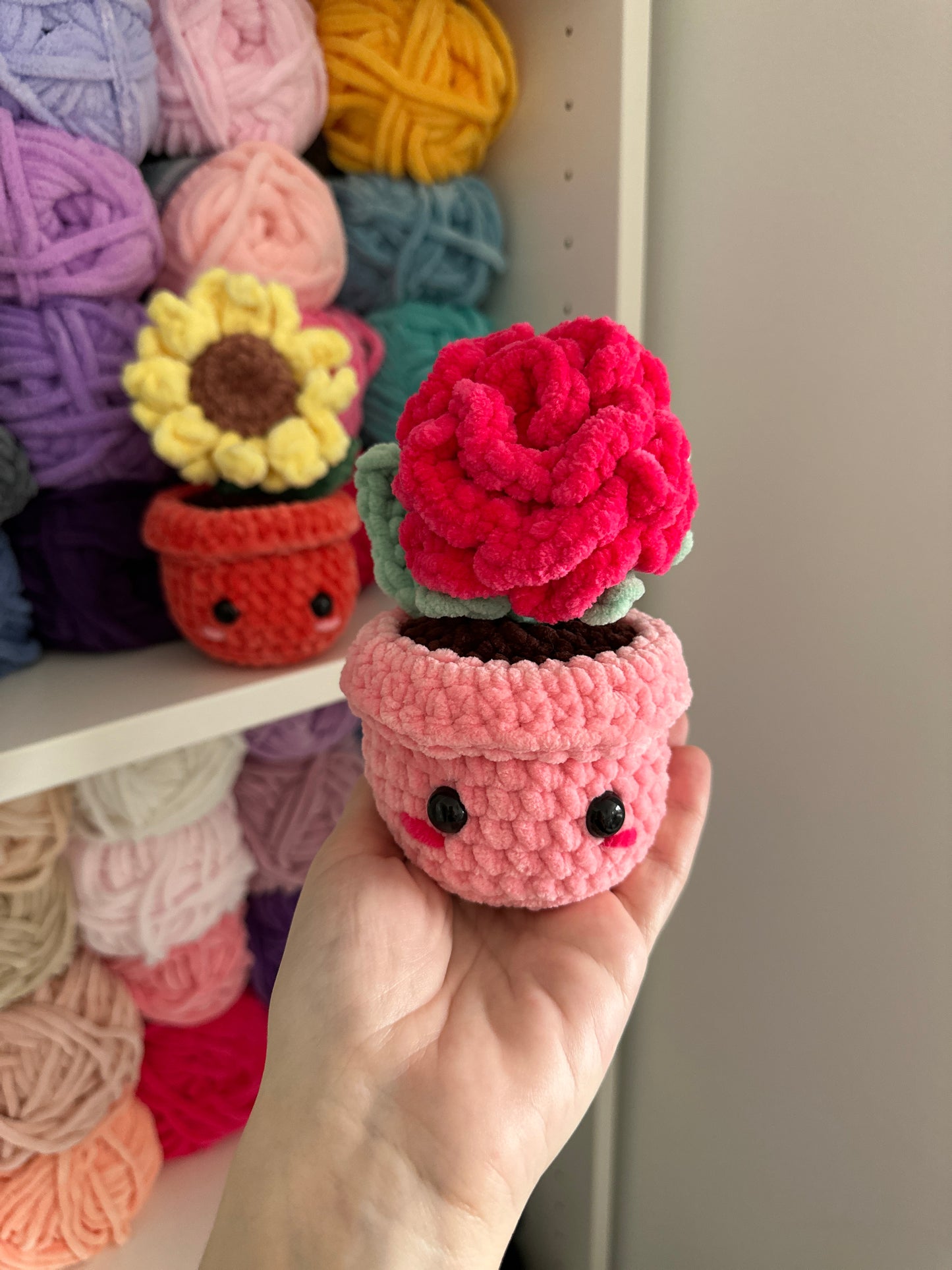 Potted Flowers