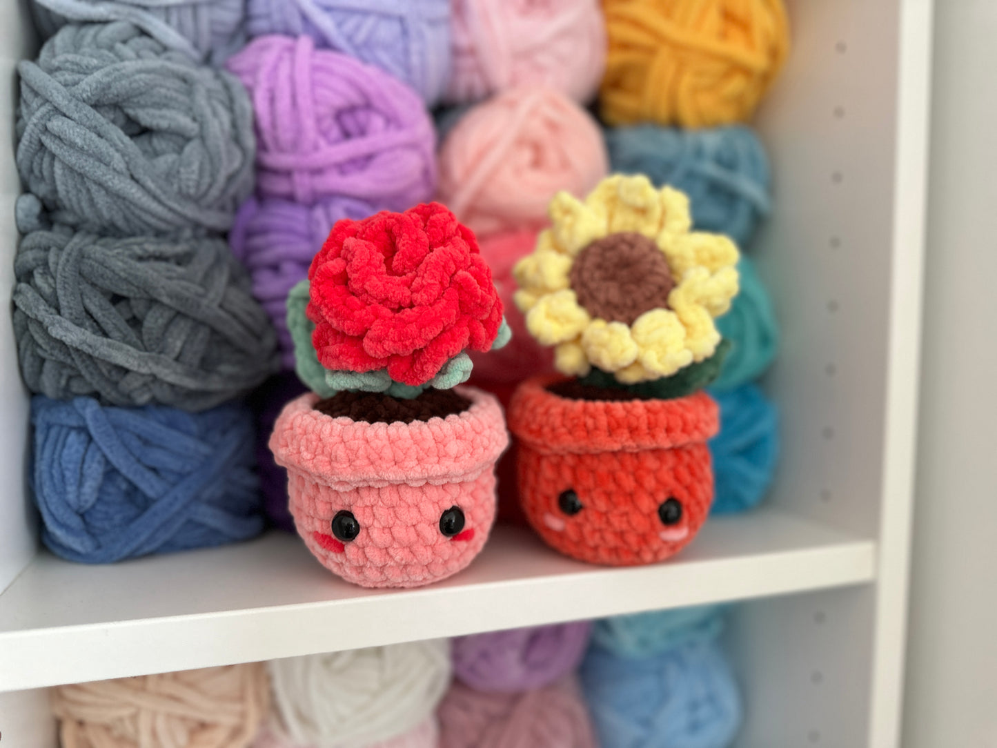 Potted Flowers