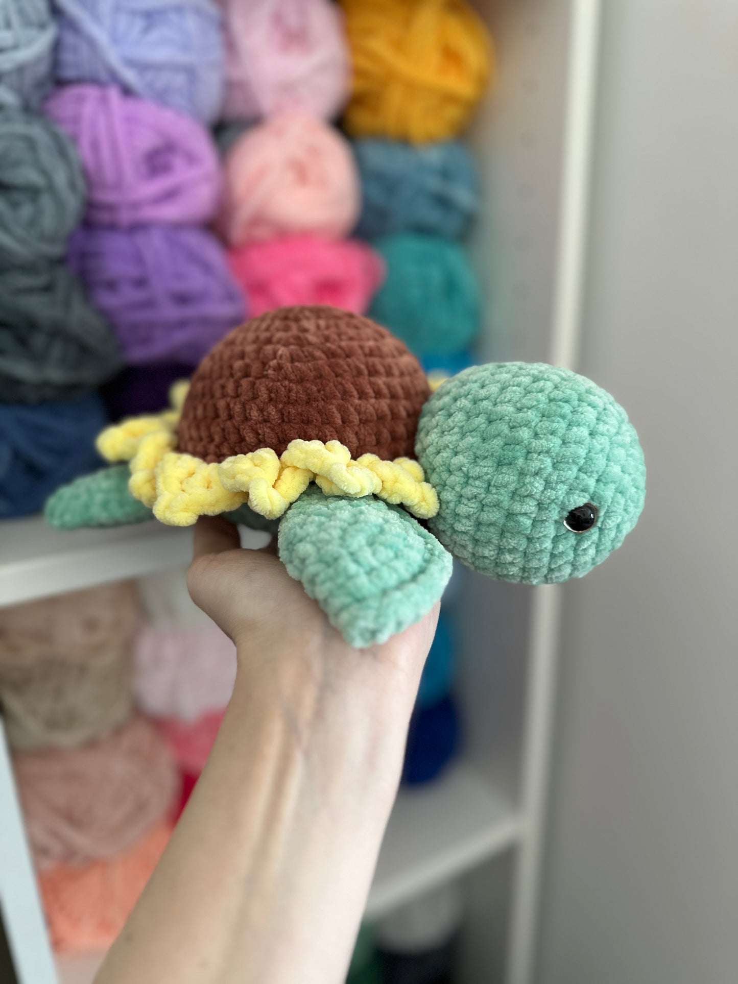 Sunflower Turtle