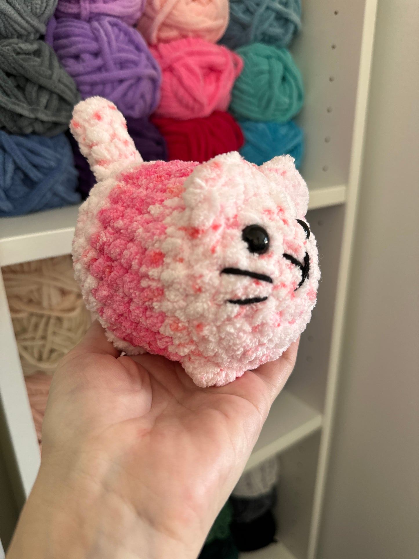 Kitten