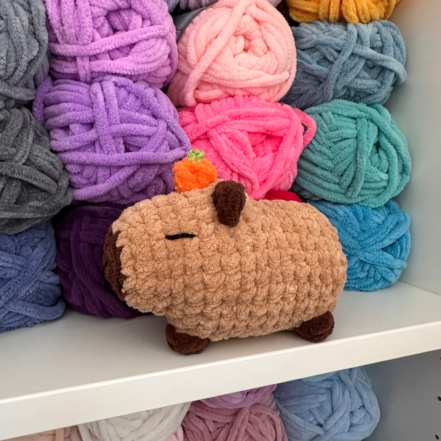 Capybara