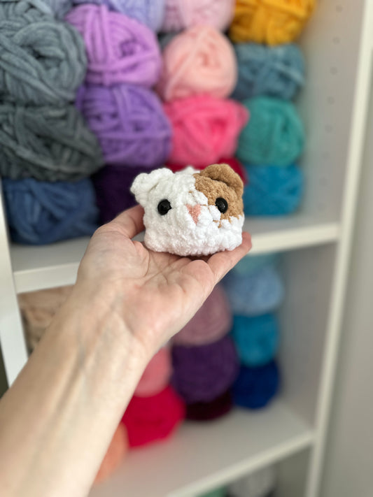 Mini Kitten