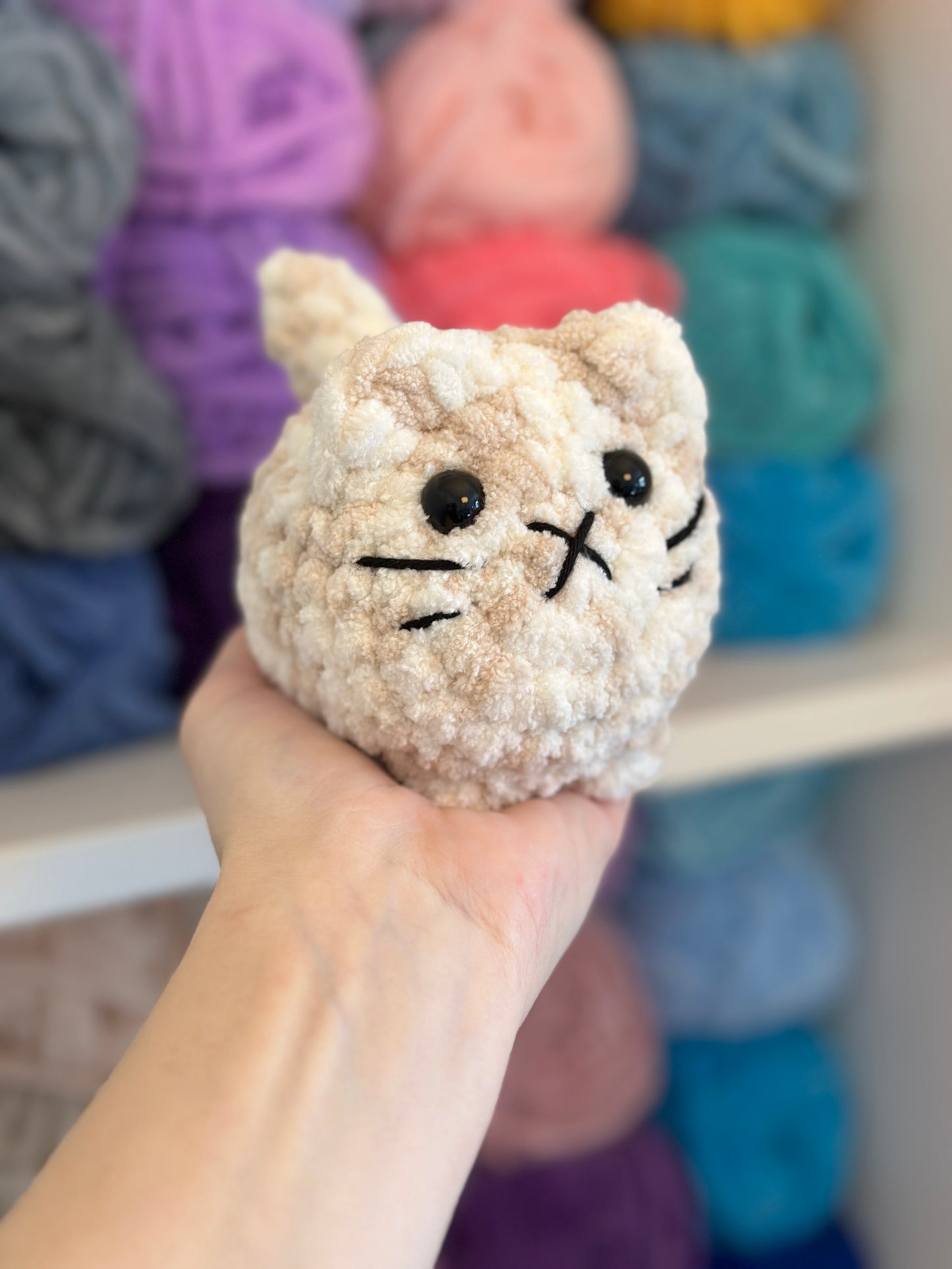 Kitten