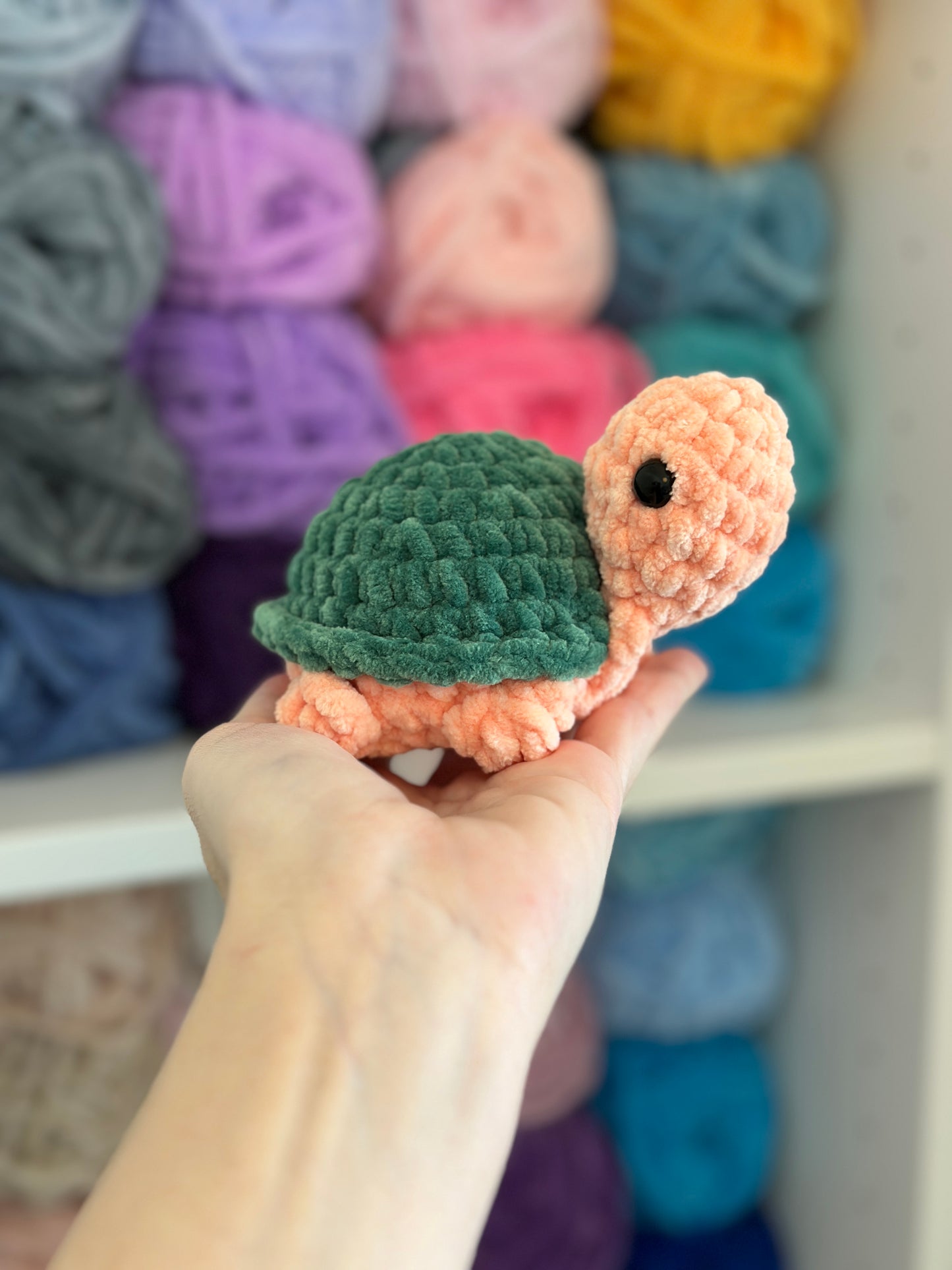 Tortoise