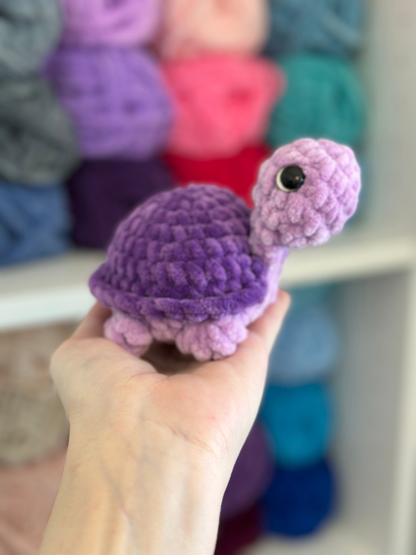 Tortoise