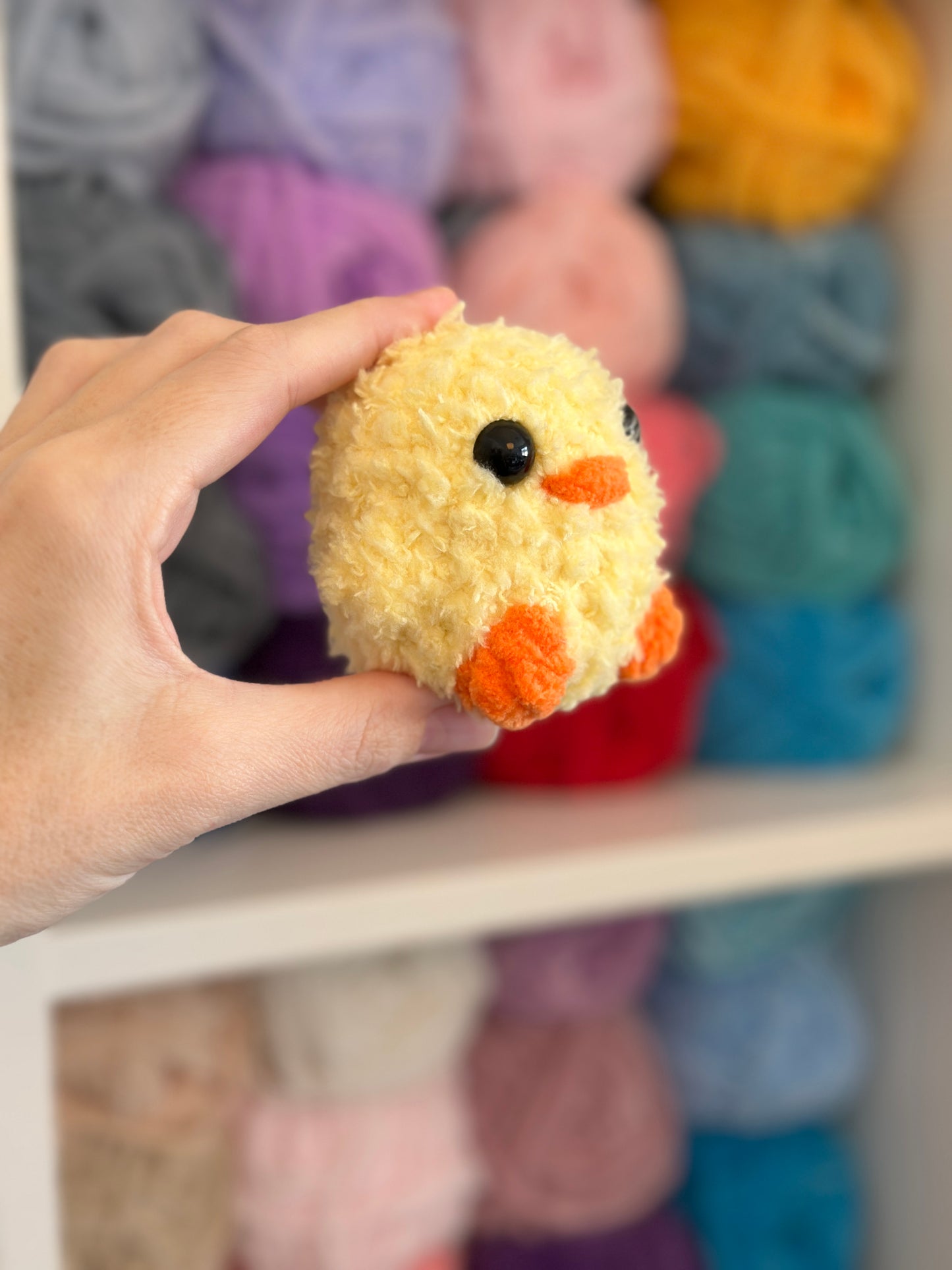 Mini Duck