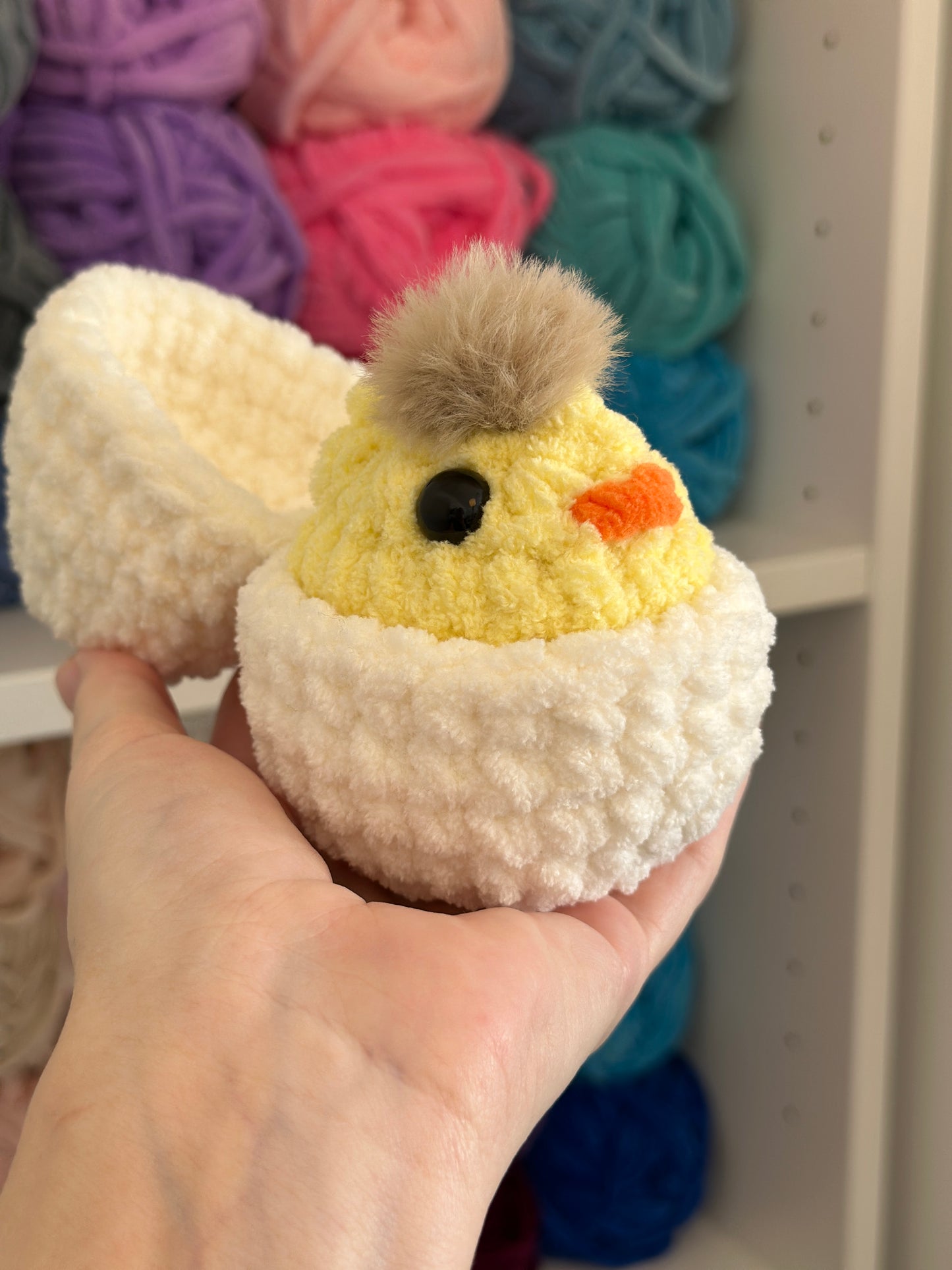 Chick in an egg