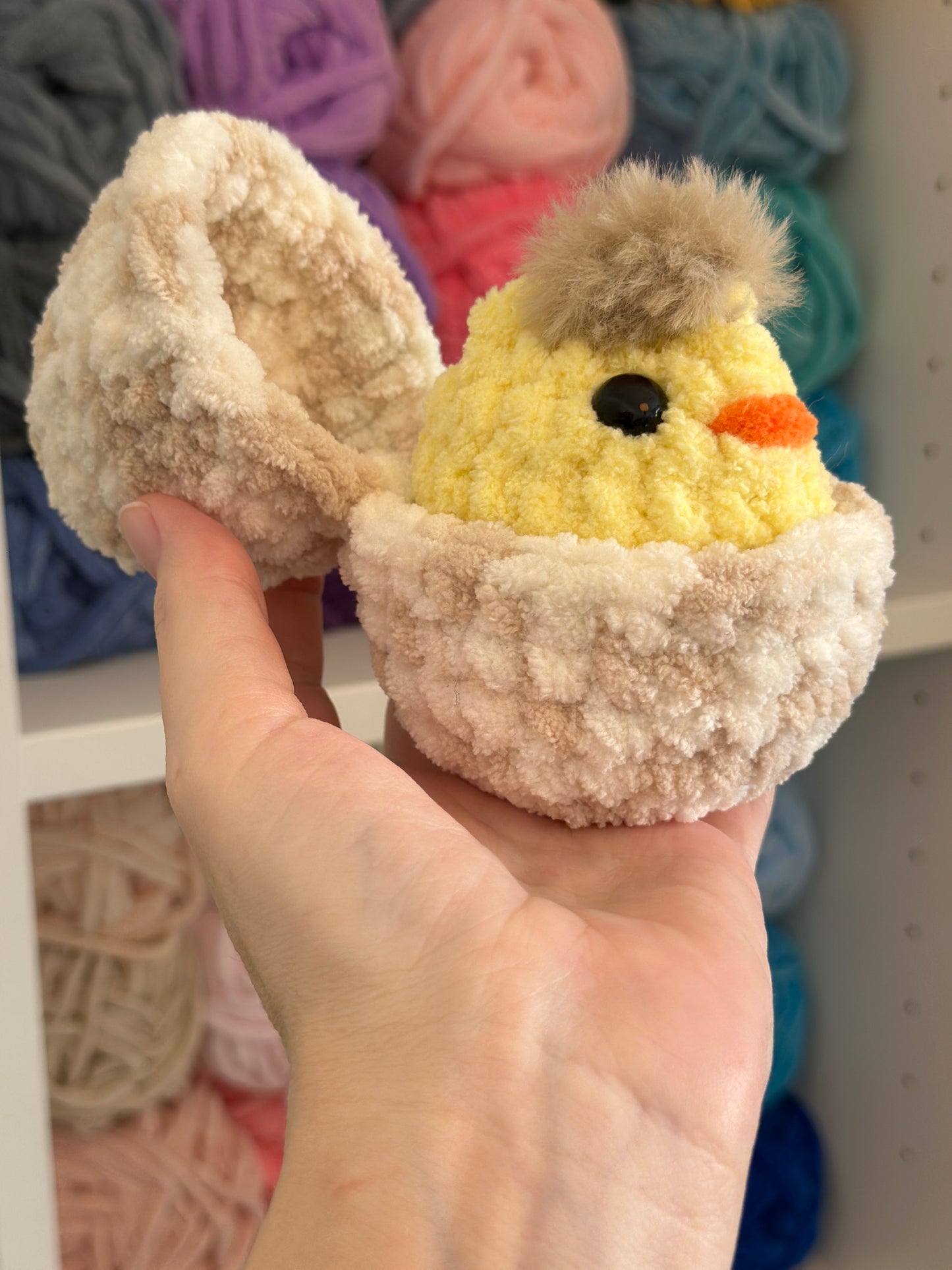 Chick in an egg