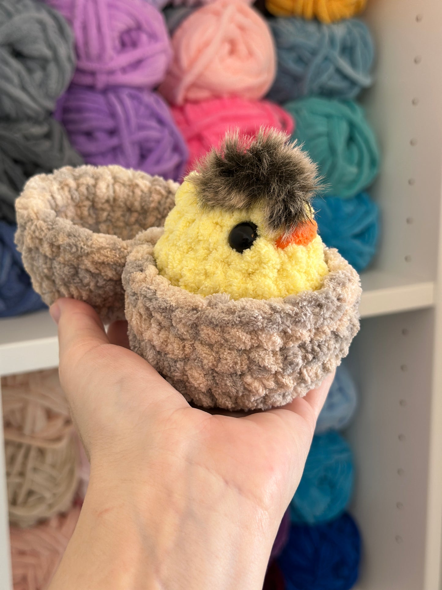 Chick in an egg