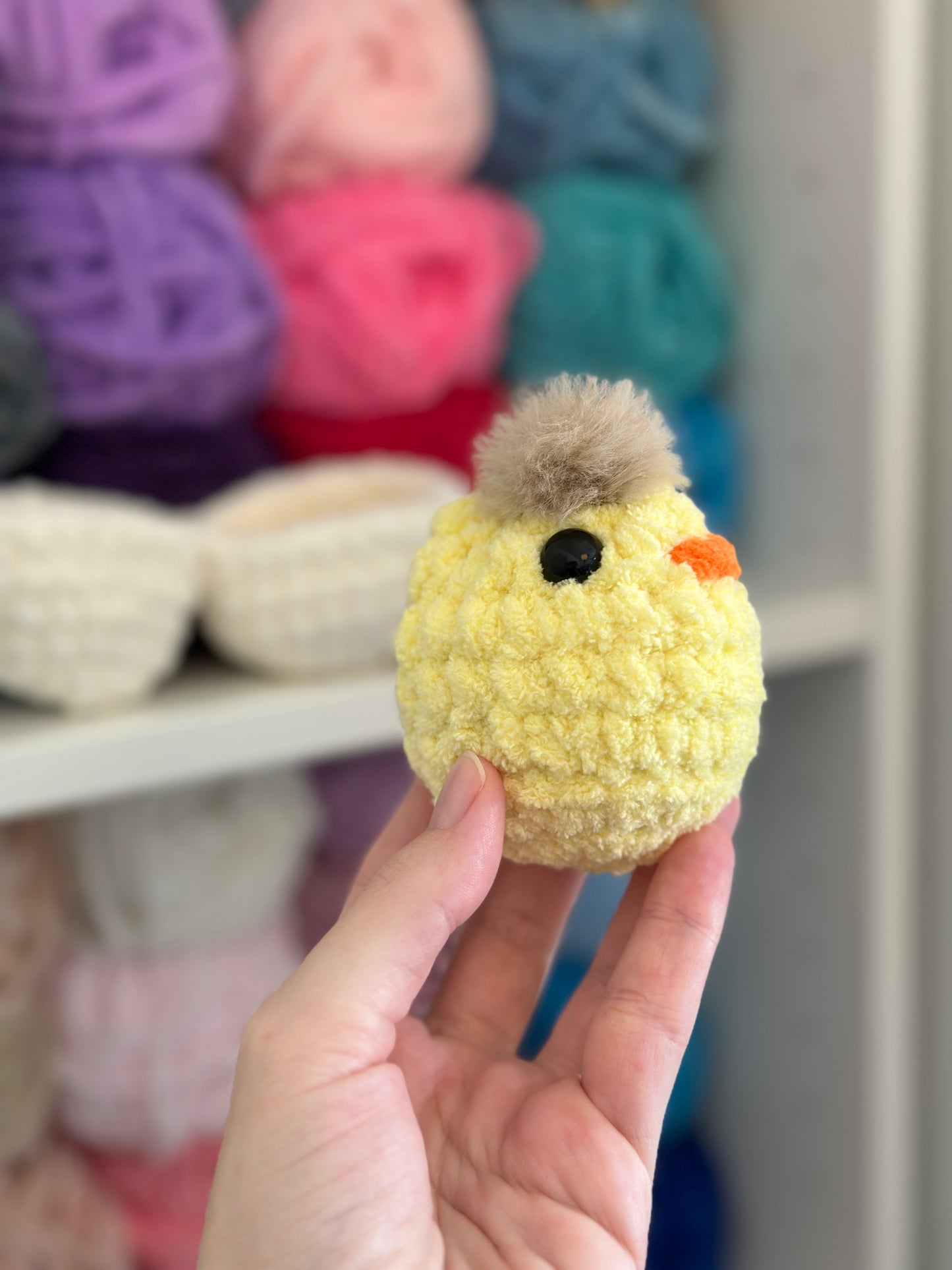 Chick in an egg