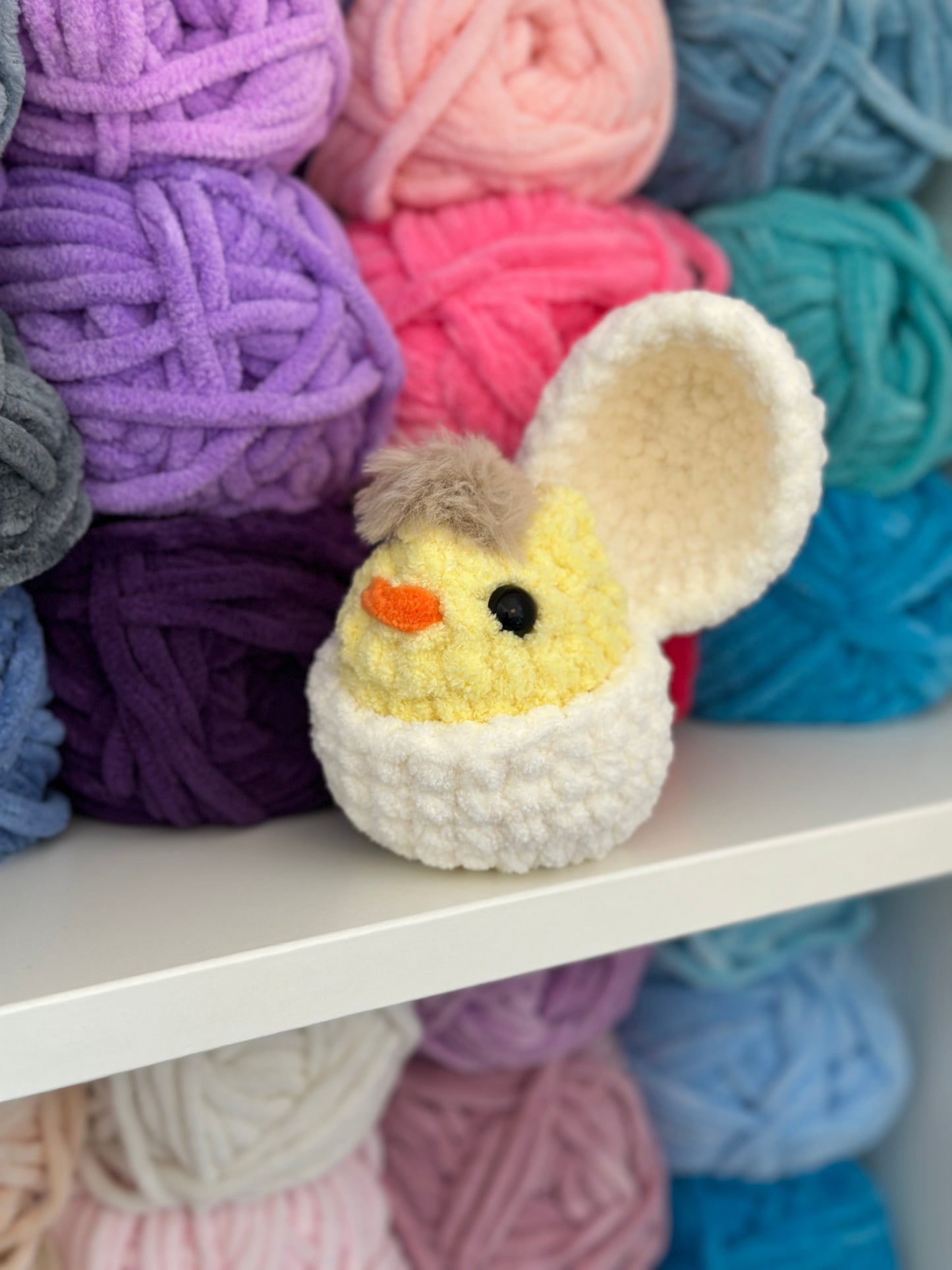 Chick in an egg